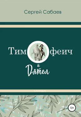 Сергей Сабаев Тимофеич и Дятел обложка книги