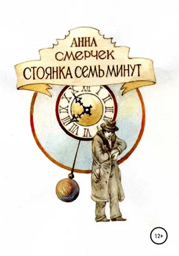 Анна Смерчек Стоянка семь минут обложка книги