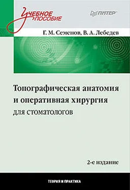 Геннадий Семенов Топографическая анатомия и оперативная хирургия для стоматологов обложка книги