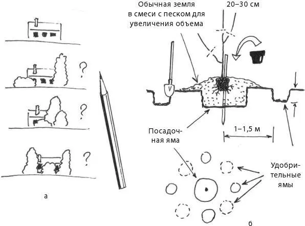 Рис 1а поиск места для деревьев искусство уравновешивать б посадка дерева - фото 3