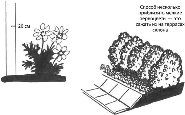 Рис 13Анемона Житейское наблюдение чем больше разных цветочных культур вы - фото 17