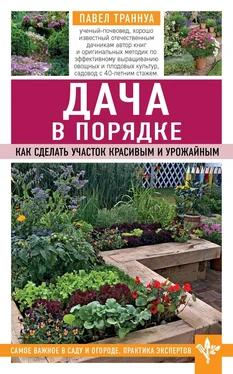 Павел Траннуа Дача в порядке. Как сделать участок красивым и урожайным обложка книги