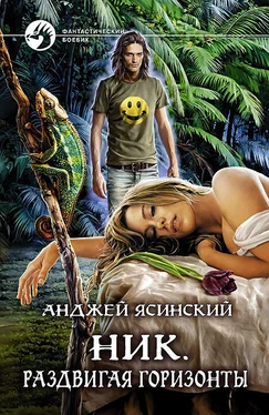 Анджей Ясинский Ник. Раздвигая горизонты обложка книги