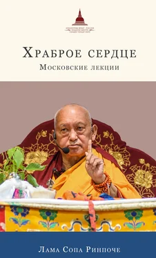 лама Сопа Ринпоче Храброе сердце. Московские лекции обложка книги