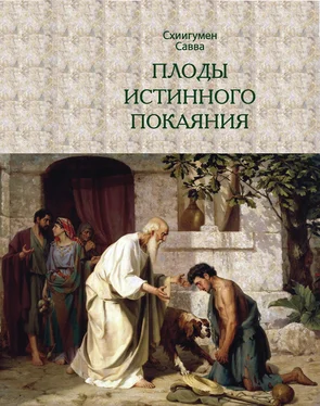 схиигумен Савва (Остапенко) Плоды истинного покаяния обложка книги