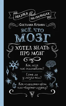 Светлана Кузина Всё, что мозг хотел знать про мозг обложка книги