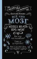 Светлана Кузина - Всё, что мозг хотел знать про мозг