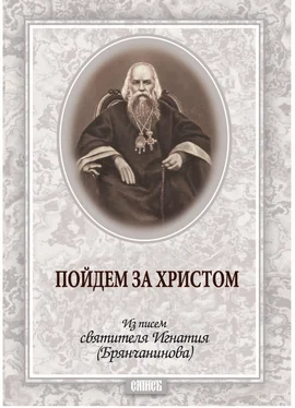 Святитель Игнатий (Брянчанинов) Пойдем за Христом. Из писем святителя Игнатия (Брянчанинова) обложка книги