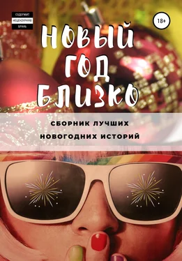 Екатерина Смирнова Новый год близко обложка книги