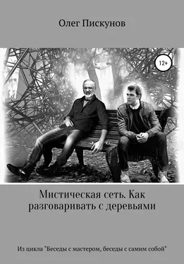 Олег Пискунов Мистическая сеть. Как разговаривать с деревьями. Из цикла «Беседы с Мастером, беседы с самим собой» обложка книги