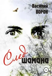 Василий Ворон - След шамана