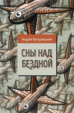 Андрей Кутерницкий Сны над бездной обложка книги