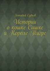 Геннадий Суднев - Истории о кошке Сашке и Короле Тигре