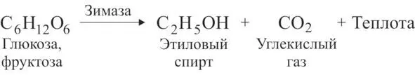 Эта энергия частью расходуется на поддержание температуры тела дрожжевого - фото 2