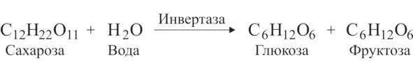которые в свою очередь распадаются на спирт и углекислый газ как было описано - фото 3