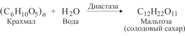 В технике этот процесс называют осахариванием крахмала независимо от того из - фото 4