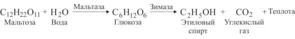 На самом деле формулы спиртового брожения выглядят гораздо сложнее их запись - фото 5