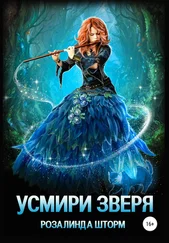 Розалинда Шторм - Усмири зверя