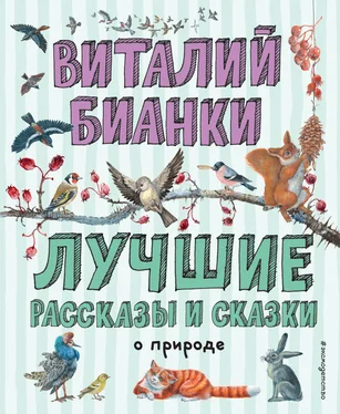 Виталий Бианки Лучшие рассказы и сказки о природе обложка книги