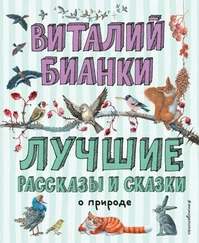 Виталий Бианки - Лучшие рассказы и сказки о природе