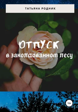 Татьяна Родник Отпуск в заколдованном лесу обложка книги