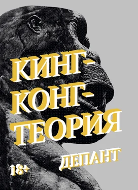 Виржини Депант Кинг-Конг-Теория обложка книги