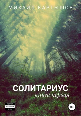 Михаил Картышов Солитариус. Книга первая обложка книги