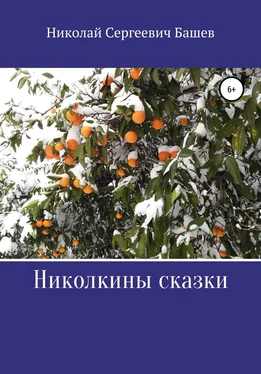 Николай Башев Николкины сказки обложка книги