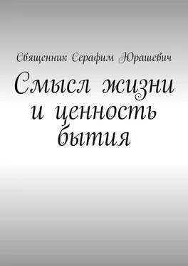 Священник Серафим Юрашевич Смысл жизни и ценность бытия обложка книги