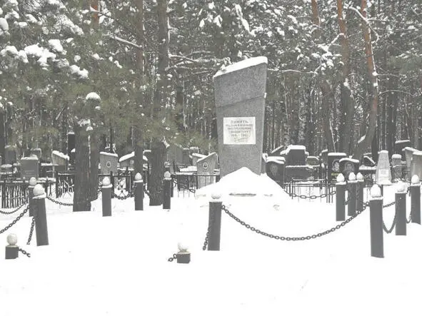 Avner собственная работа Памятник убитым евреям узникам Осиповичского - фото 18