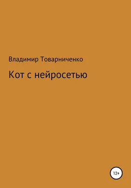 Владимир Товарниченко Кот с нейросетью обложка книги