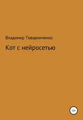 Владимир Товарниченко - Кот с нейросетью