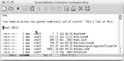Emacs runs lsand inserts the result at your current location Mac OS X 512 - фото 77