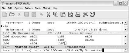 Emacs asks where you want to move the marked files to Windows Type novel - фото 92
