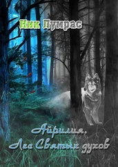 Ник Лумрас - Айрилия. Лес Святых духов