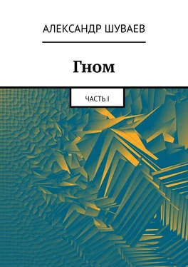 Александр Шуваев Гном. Часть I обложка книги