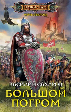 Василий Сахаров Большой погром обложка книги