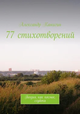 Александр Канигин 77 стихотворений. Поэзия, как космос, глубока обложка книги