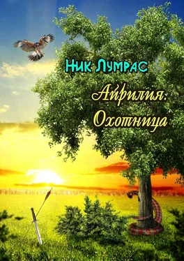 Ник Лумрас Айрилия. Охотница обложка книги