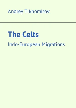 Andrey Tikhomirov The Celts. Indo-European Migrations обложка книги