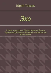 Юрий Токарь - Эхо. Стихи и рассказы. Иллюстрации Елены Кравченко, Валерии Панасюк и Анастасии Калугиной