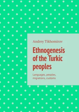Andrey Tikhomirov Ethnogenesis of the Turkic peoples. Languages, peoples, migrations, customs обложка книги