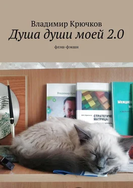 Владимир Крючков Душа души моей 2.0. флэш-фэкшн обложка книги