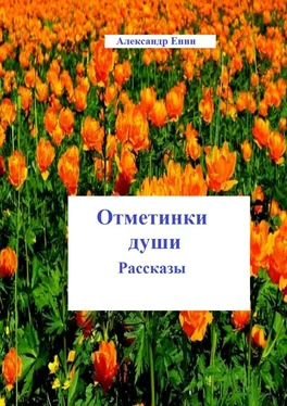 Александр Енин Отметинки души обложка книги