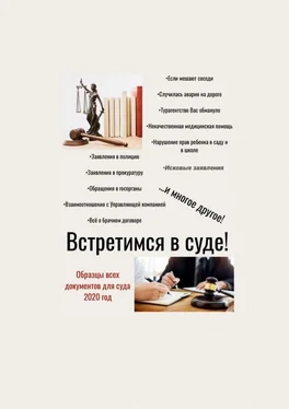 Татьяна Тонунц Встретимся в суде! Образцы всех документов для суда, 2020 год обложка книги
