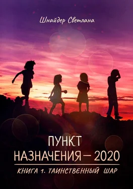 Светлана Шнайдер Пункт назначения – 2020. Книга 1. Таинственный шар обложка книги