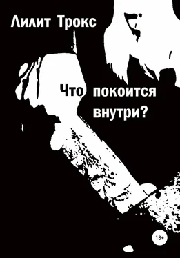 Лилит Трокс Что покоится внутри? обложка книги