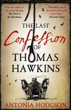 Antonia Hodgson The Last Confession of Thomas Hawkins обложка книги