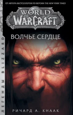 Ричард Кнаак World of Warcraft. Волчье сердце обложка книги