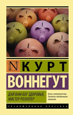 Курт Воннегут Дай вам Бог здоровья, мистер Розуотер обложка книги